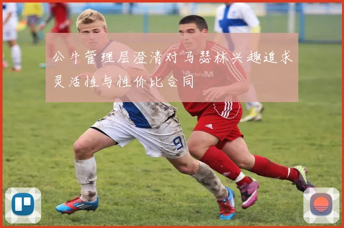 公牛管理层澄清对马瑟林兴趣追求灵活性与性价比合同